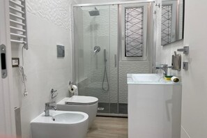 Shower, hair dryer, bidet, towels