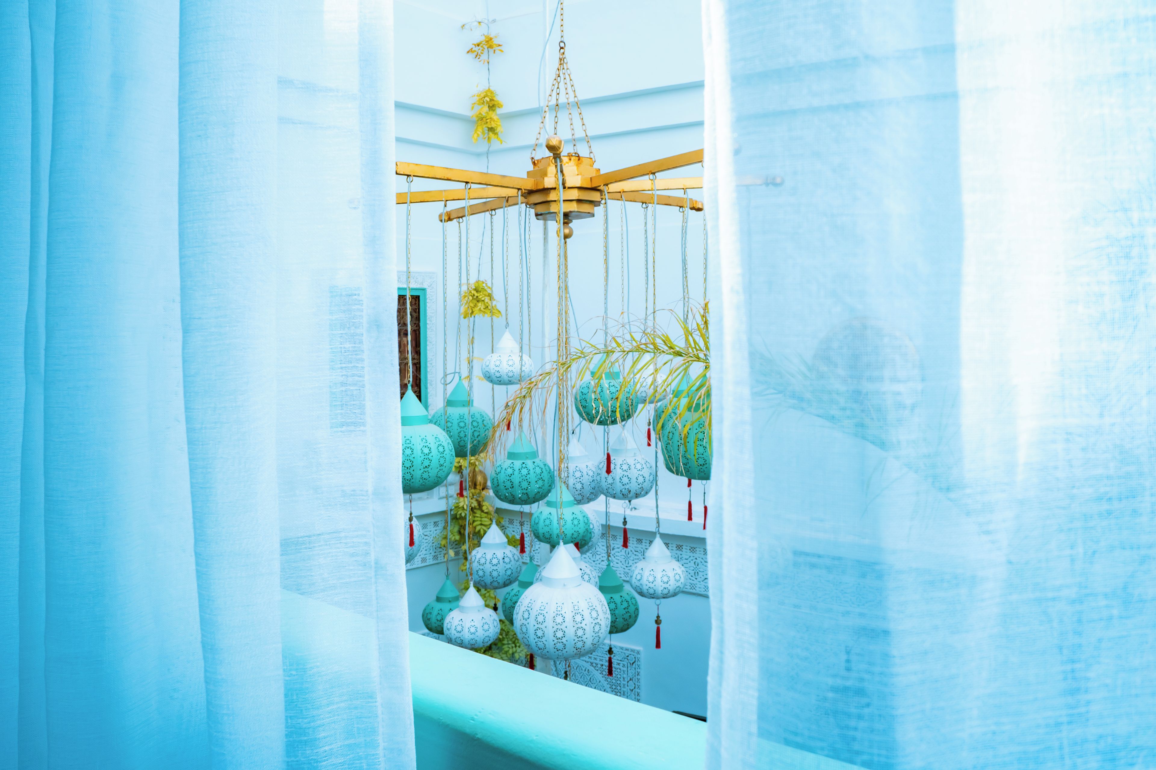 Ein Zimmer mit einer hängenden Pflanzengruppe und einem Deckenventilator.