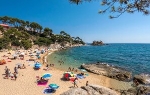 Apartment | 1 bedroom