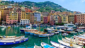 Apartment | 2 bedrooms - Sea View Apartment Camogli Hill (Camogli)