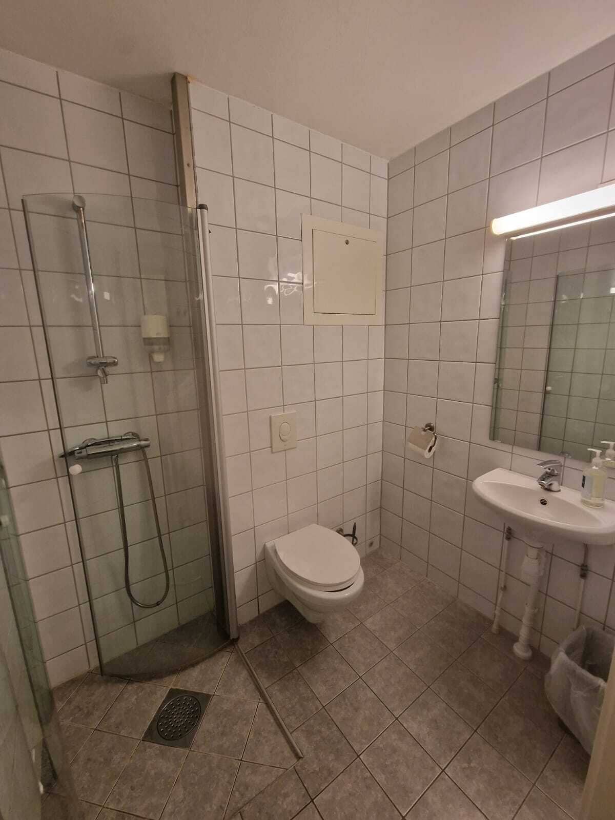 A bathroom with a glass shower enclosure, a toilet, a sink, and a mirror.