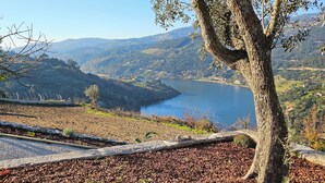 A tree-lined view overlooking a lake with a clear sky. - Quinta D'Joanes Douro (Resende)
