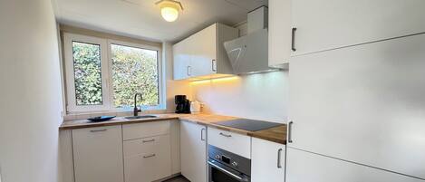 Fridge, oven, stovetop, dishwasher