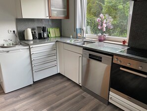 Fridge, oven, stovetop, dishwasher - Vacation apartment Am Romberg (Lohr am Main)