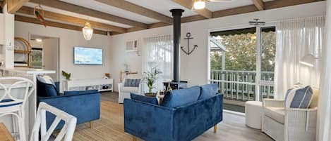 TV, fireplace, DVD player