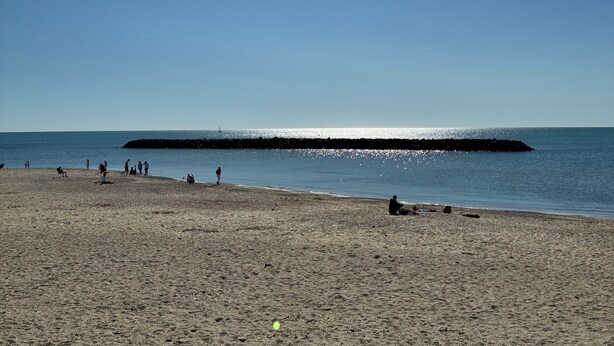 Une plage avec un ciel dégagé et une mer calme.
