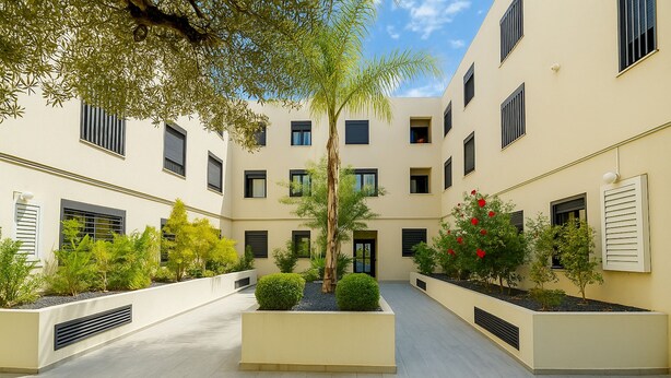 A courtyard with a central tree, surrounded by planter boxes with plants and flowers. - Petit Cocon Neuf et Styl la Marsa (La Marsa)