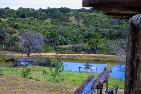 Property grounds. Fazenda Serra Negra - Terra Ronca