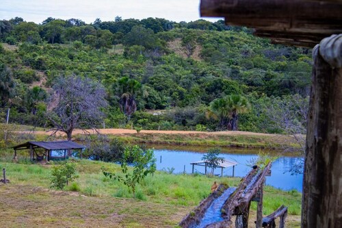 Fazenda Serra Negra - Terra Ronca