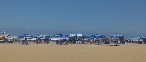 Lettini da mare