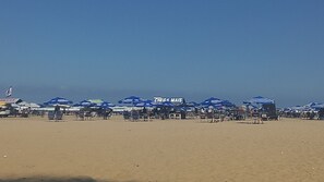 A beach with rows of blue umbrellas and beach chairs, a clear sky, and a sandy shore.