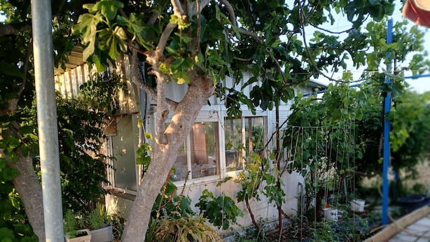 A garden with a variety of plants and a house with a glass door. - Big and comfortable country house with garden in "Finca La Guindilla" with Pool (El Pico)