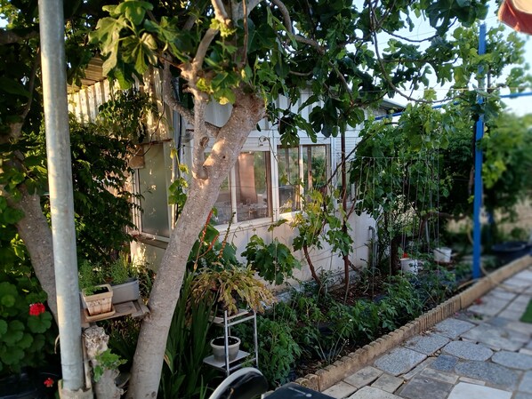 Property grounds - Big and confortable country house with garden in "Finca La Guindilla" with Pool (El Pico)