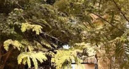 Charming 1-bedroom villa in welcoming Giza Governorate with WiFi 3