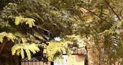 Charming 1-bedroom villa in marvelous Giza Governorate with WiFi 4