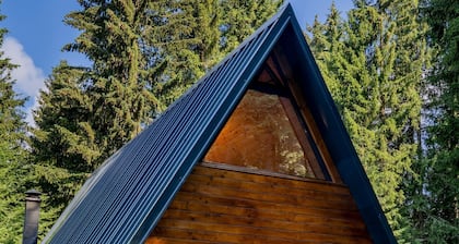 VIKTORIJA CHALET IN THE HEART OF MOUNT KOPAONIK