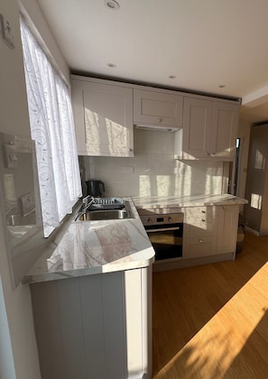 Oven, stovetop, cookware/dishes/utensils, ice maker