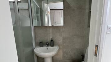 Shower, hair dryer, bidet, towels