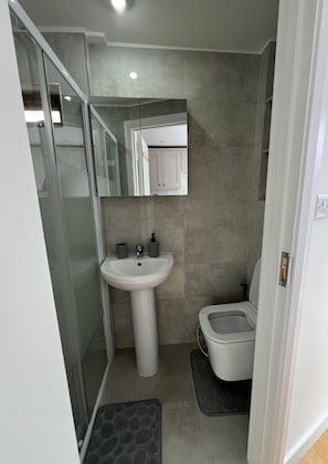 Shower, hair dryer, bidet, towels