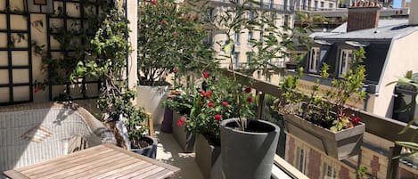 Jardines del alojamiento