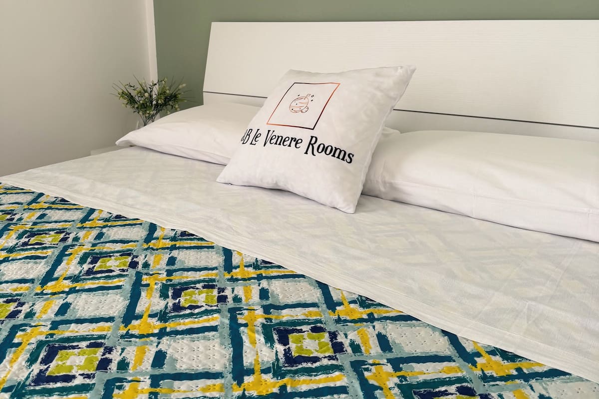 Basic Double Room