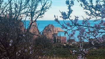 A coastal landscape with flowering trees and a view of the sea.