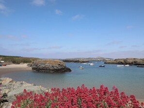 Beach nearby - Seaddler (Holyhead)