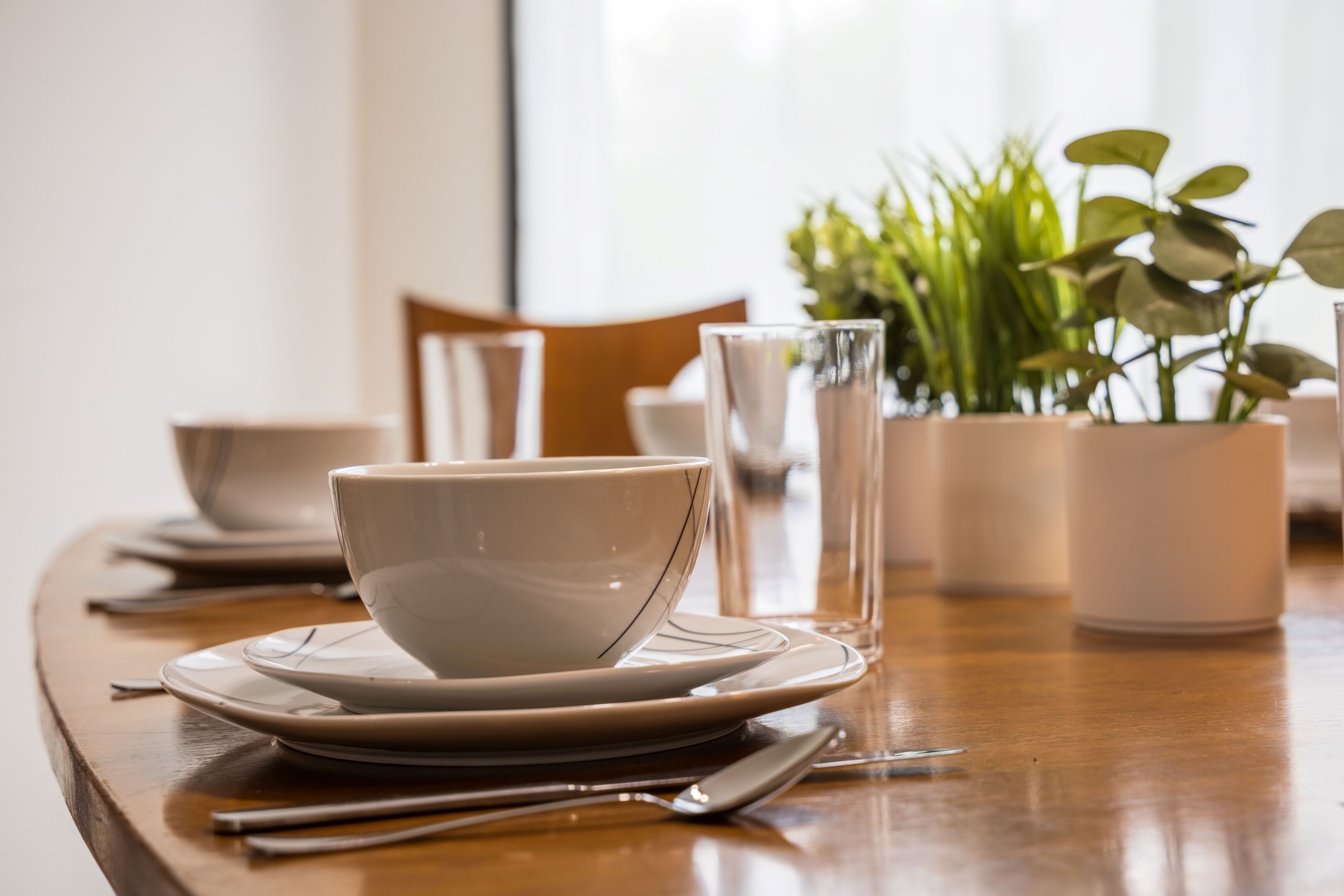 A dining table with a white bowl and plate set, a glass, and a potted plant.