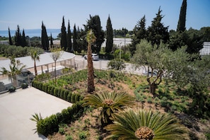 Vista al jardín
