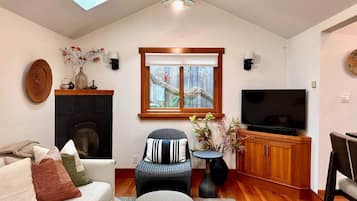 Smart TV, fireplace, books, music library