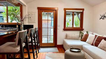 Smart TV, fireplace, books, music library