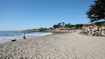 Beach nearby, sun loungers, beach towels