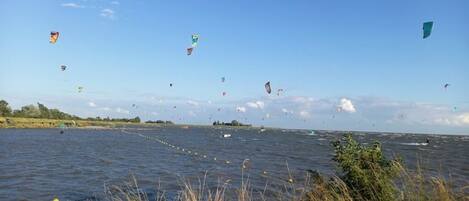 A body of water with multiple kites flying in the sky.