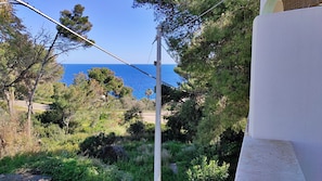 A coastal view with a road, trees, and a utility pole. - La Casetta Di Novaglie - Puntaverde Con Vista Mare (Alessano)