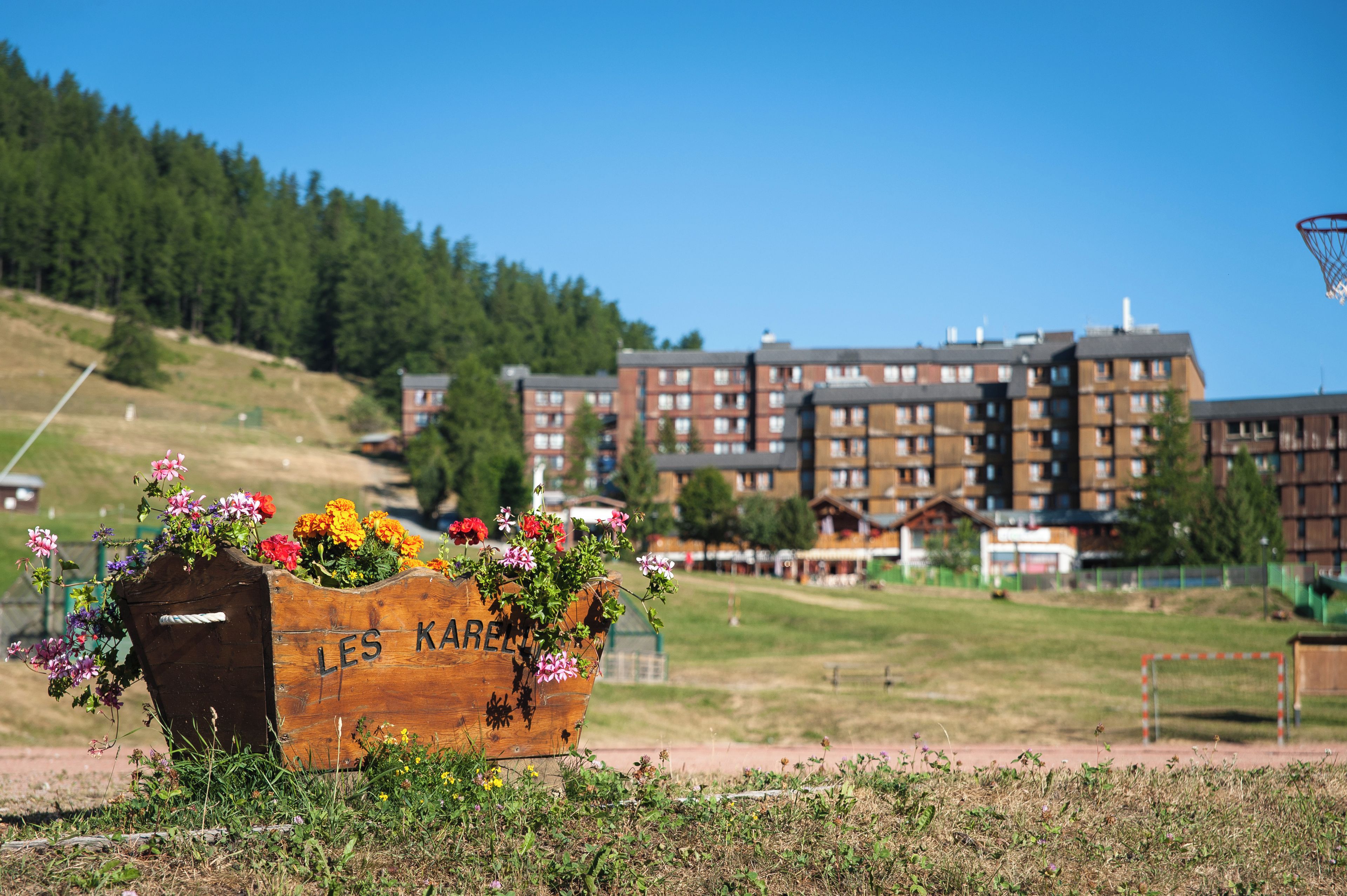 A wooden planter with flowers labeled "LES KARELL" in a grassy area with a view of multi-story buildings in the background.