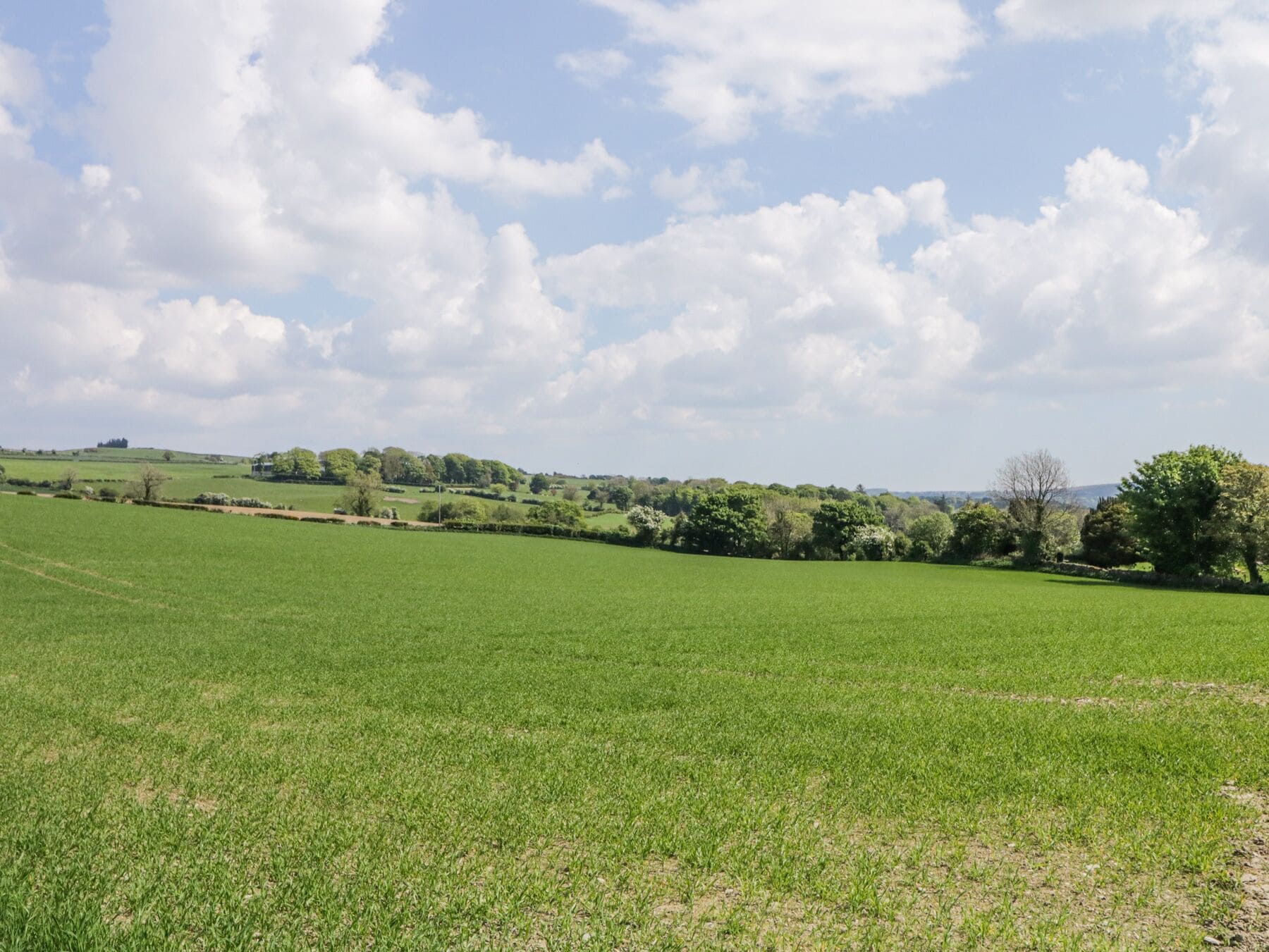 Un ampio campo verde sotto un cielo sereno e nuvole sparse.