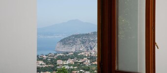 L' ARANCIO IN FIORE