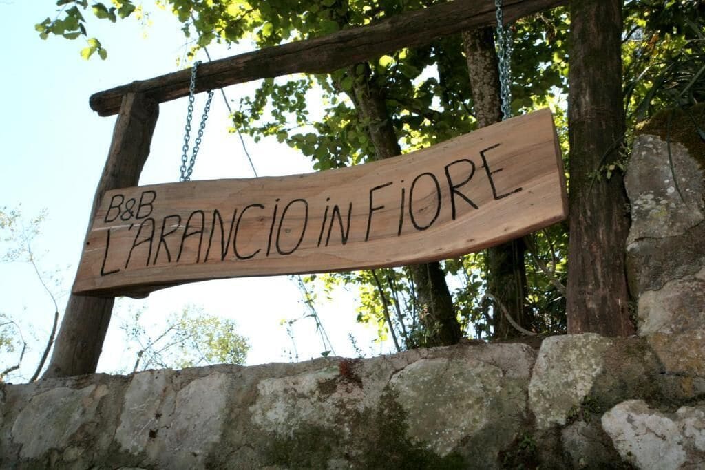 A wooden sign with "B&B LARANCIO IN FIORE" written on it, hanging from a stone wall.