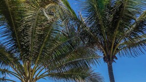 A beach scene with two people sitting on a hammock, a small table with food, and a clear view of the ocean. - The Residence: Private 3BR Beachfront Villa (Tulum)