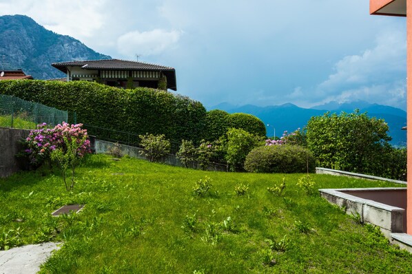 Property grounds - Apartment Ortensia (Baveno)