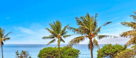 Condo (Multiple Bedrooms) | Property grounds