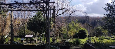 Restauration en plein air
