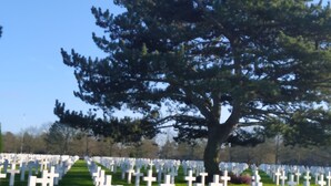 A cemetery with numerous white crosses arranged in rows, a large tree in the center, and a clear blue sky. - Vacation home in Normandy (Aure sur Mer)