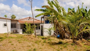 A house with a tiled roof, surrounded by banana trees and a small garden.