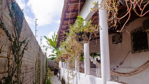 A narrow alleyway with a white building on one side and a brick wall on the other, with hanging plants and a hammock.