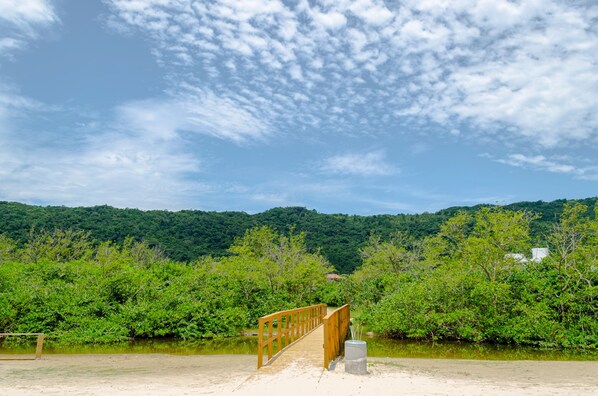 A wooden bridge leading to a natural area with dense greenery and hills in the background.