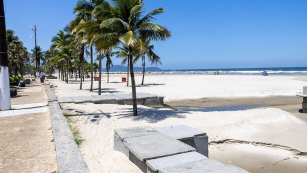 A beach with palm trees, a sandy shore, and a clear blue sky. - Apto Confort vel a 150m do mar Completo com Lazer (Praia Grande)