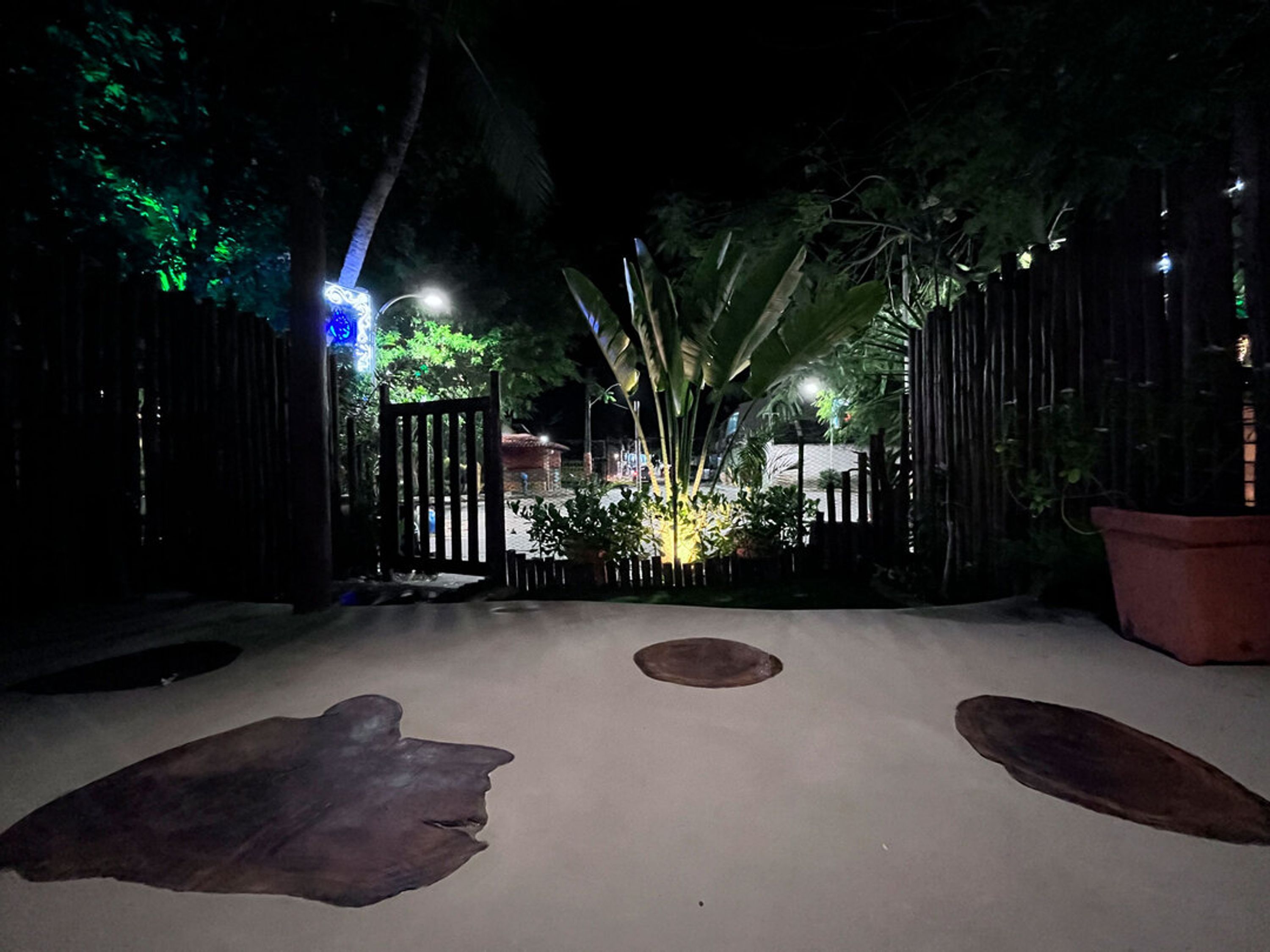 公寓 | 1 多间卧室