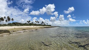 Vista panorámica de una playa con aguas poco profundas y cristalinas, palmeras y un barco a lo lejos.