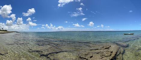 Apartemen | 1 kamar tidur